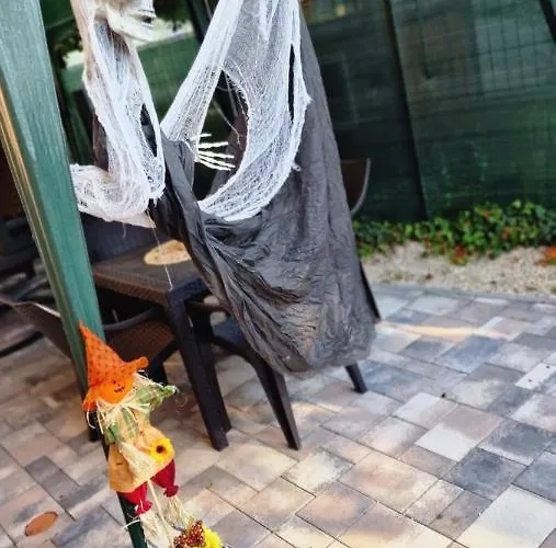 Hanna シオーフォク